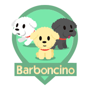 Barboncino